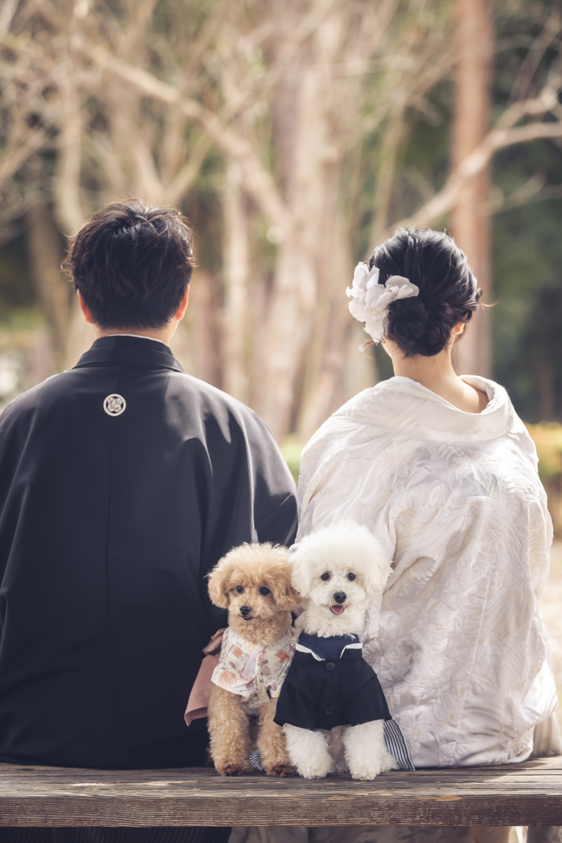 可愛らしい1枚