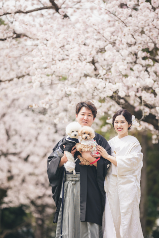＊4月：和装1着ロケーション撮影＊SAKURA満開♪