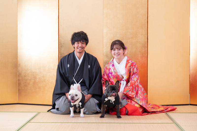 和装スタジオ弐点プラン『ペット撮影』