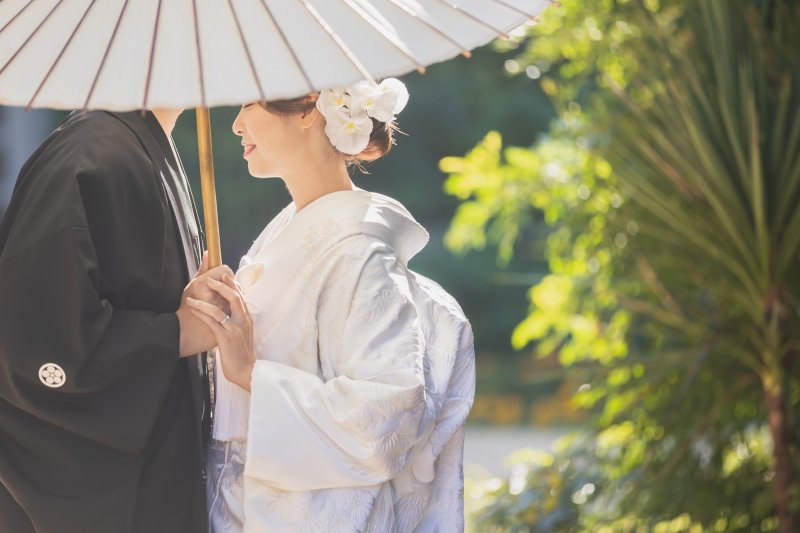 深緑/自然光に