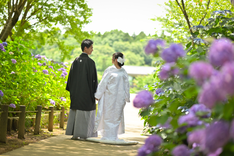 和装ロケーション壱点プラン　白無垢【紫陽花】