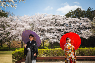 次は、マタニティフォトなどで利用したいです！