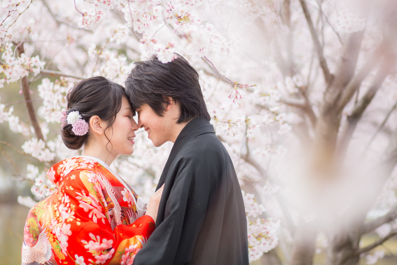 満開の桜のしたで