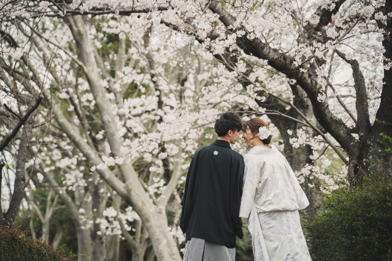 4月の上旬