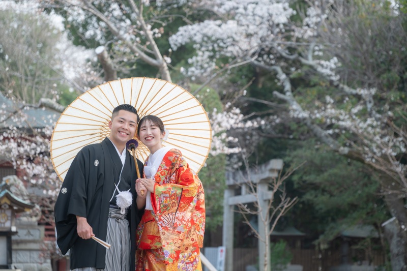 優しい桜の色付きには
