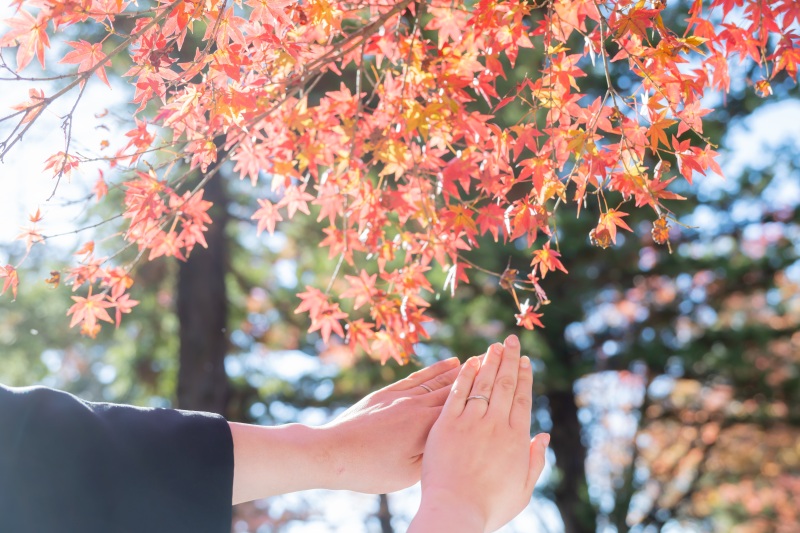 *11月:和装ロケ&洋装チャペル2着プラン&*ベストタイミングで紅葉♪