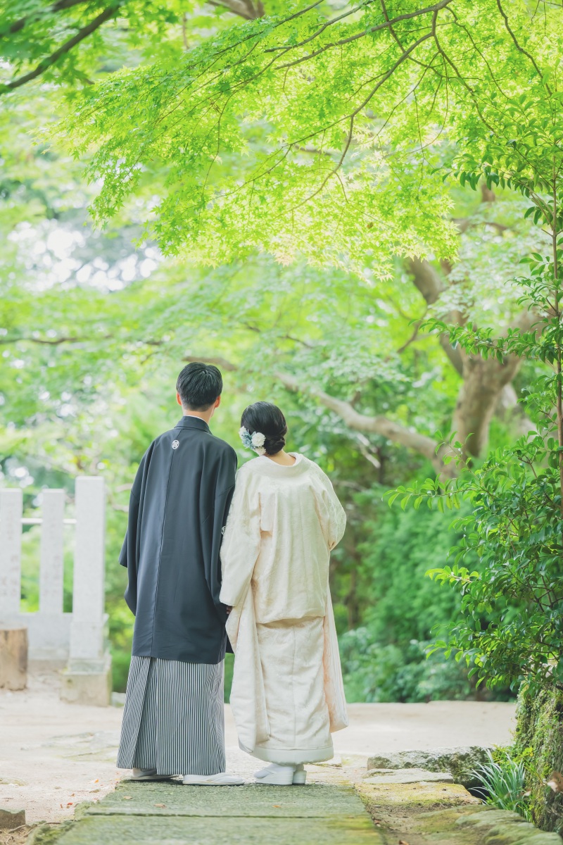 お散歩風の1カット