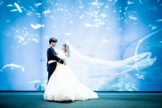 ＊3月：洋装ロケーション1着プラン＊アクアワールド茨城県大洗水族館へ!!