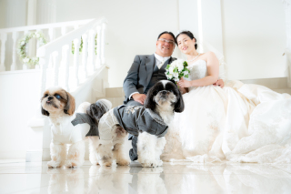 本当にありがとうございました！