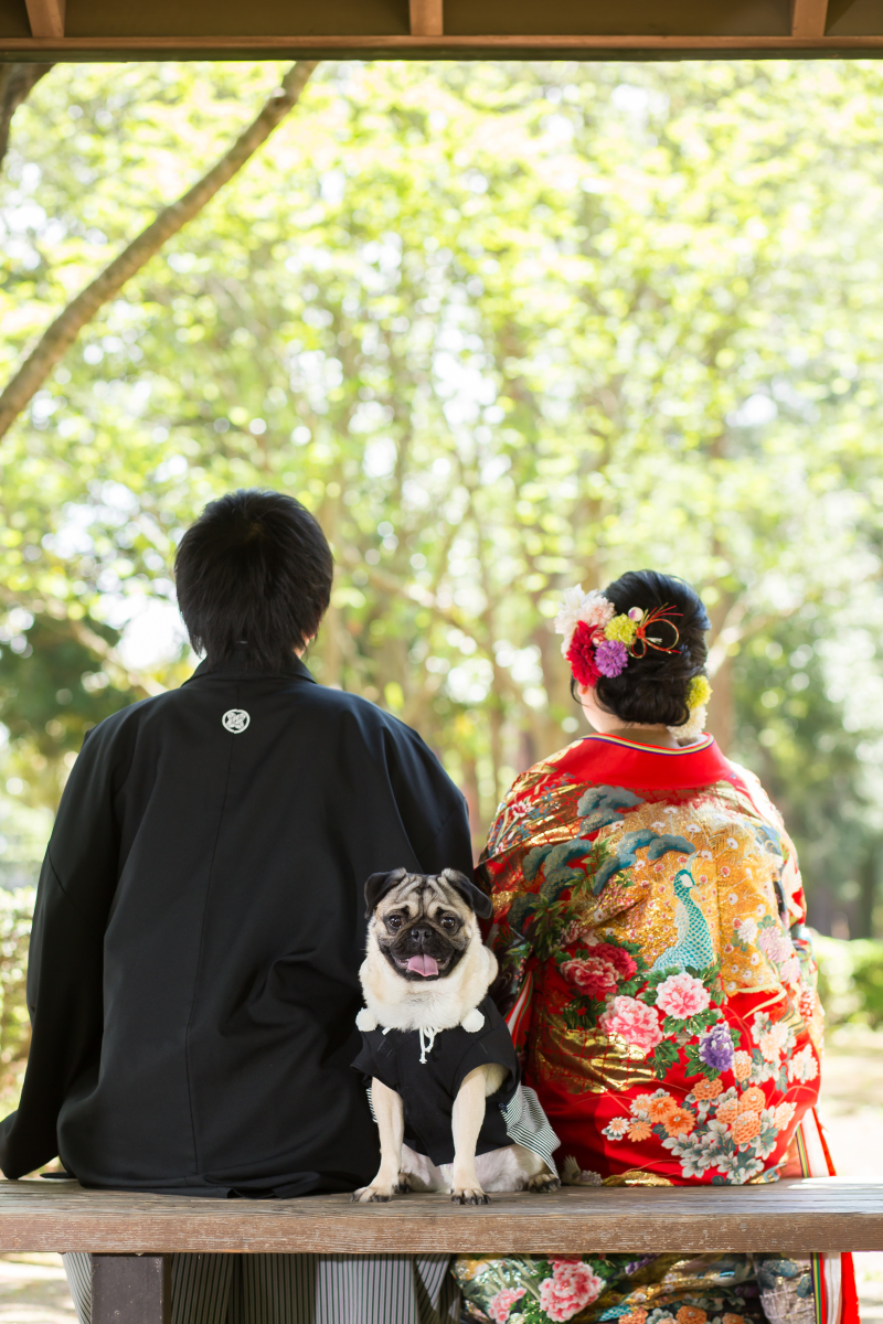わんちゃんと撮影できます♪