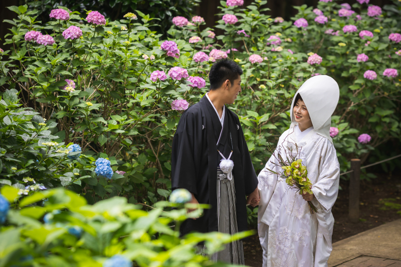 紫陽花の囲まれて