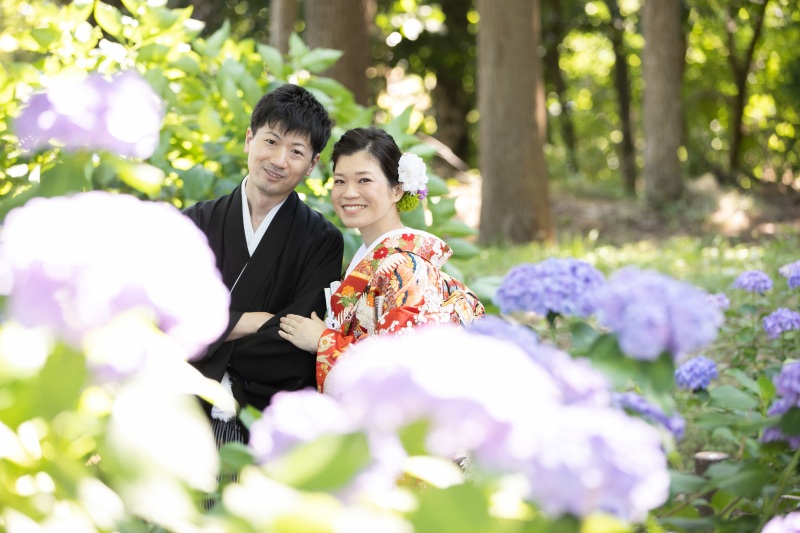 満開の紫陽花