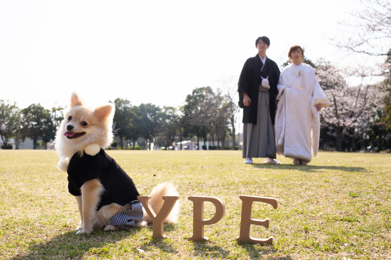 華雅苑[KAGAEN]つくば店_ペットと一緒に撮影できる