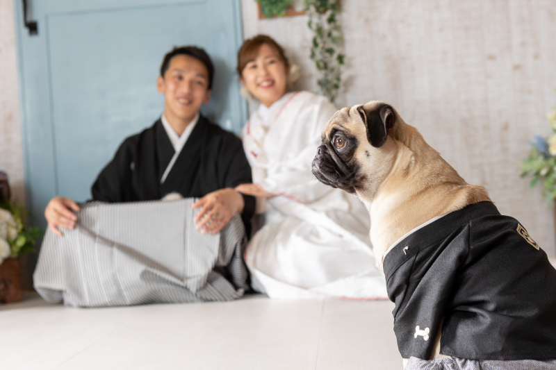 Point1 多彩な撮影シーン