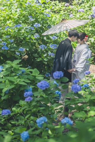 華雅苑[KAGAEN]つくば店_『和装ロケ:紫陽花シーズン〗6月下旬～7月上旬
