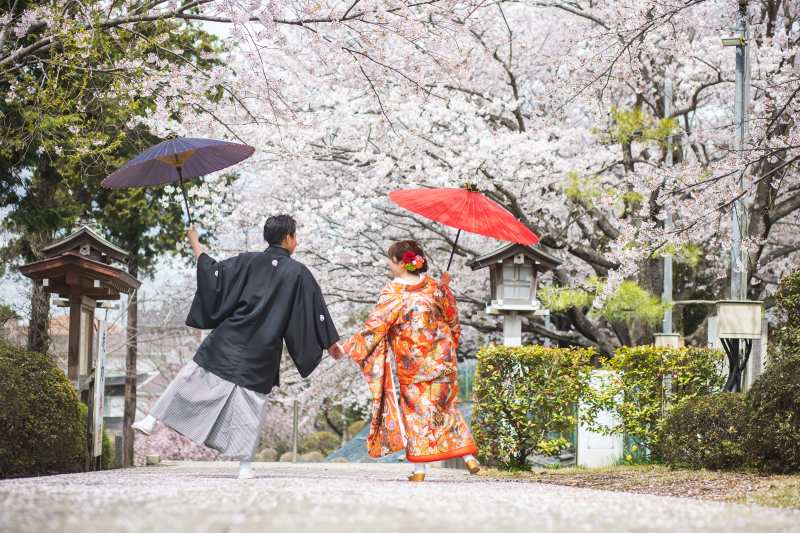 ✿さくらシーズン✿3/25～4/10の撮影【和装ロケ：2着】データ230カット/ロケ撮影とスタジオ＊グレードアップ料なし＊