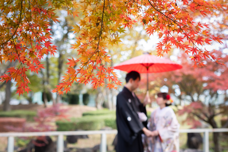 ✿プレミアム・11/24~12/5撮影✿【紅葉シーズン:和装2着ロケ&スタジオ】データ230カット含む・衣裳差額なし 平日限定