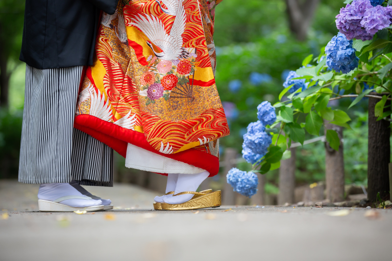 ✿プレミアム・6月撮影✿【紫陽花シーズン：和装1着ロケーション】データ130カット含む・衣裳差額なし　平日限定　