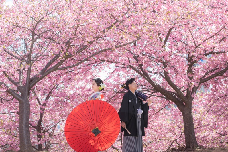 限定10組様♪河津桜が咲く季節（3/2～3/13)ロケーションとスタジオで撮影　衣裳２着・美容・撮影データ100カット付き