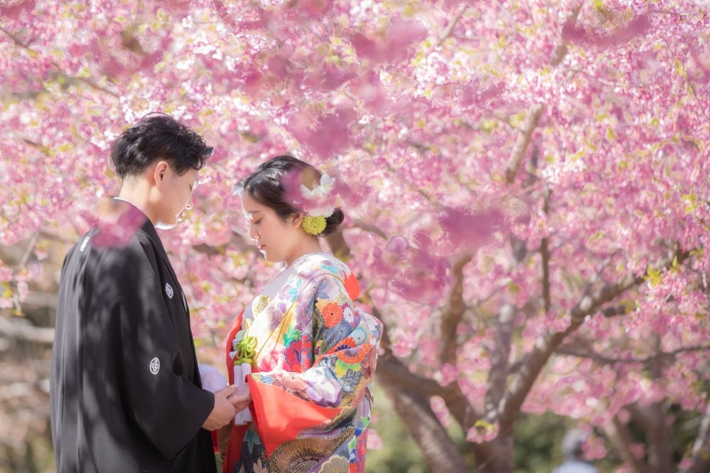 限定10組様♪河津桜が咲く季節（3/2～3/13)ロケーションとスタジオで撮影　衣裳２着・美容・撮影データ100カット付き