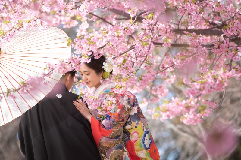 限定10組様♪河津桜が咲く季節（3/2～3/13)ロケーションとスタジオで撮影　衣裳２着・美容・撮影データ100カット付き