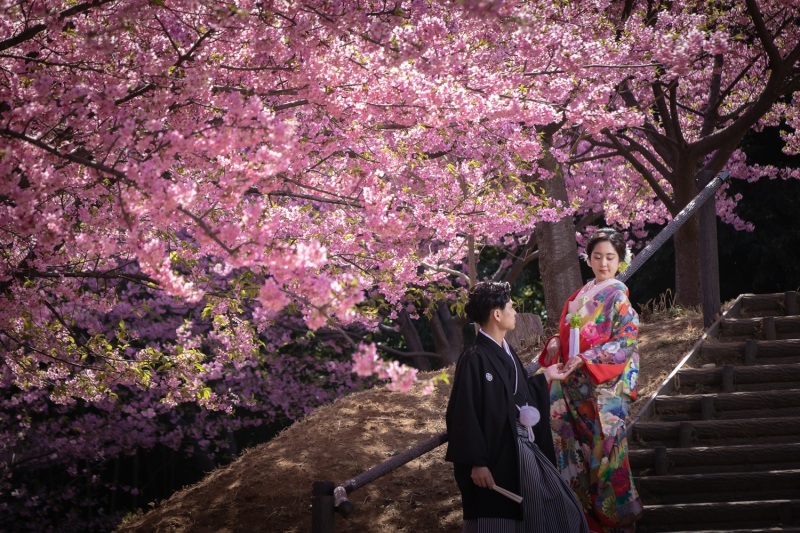 限定10組様♪河津桜が咲く季節（3/2～3/13)ロケーションとスタジオで撮影　衣裳２着・美容・撮影データ100カット付き