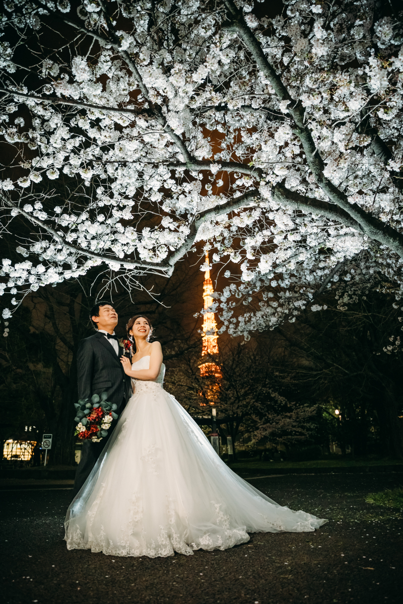 ✴︎東京タワーと夜桜✴︎