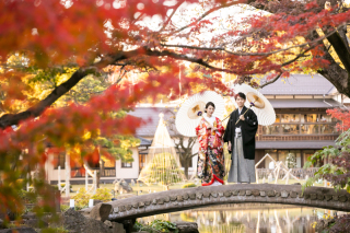 ✼••┈紅葉の季節が始まります┈••✼