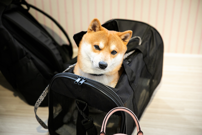 ✴︎オフショット✴︎