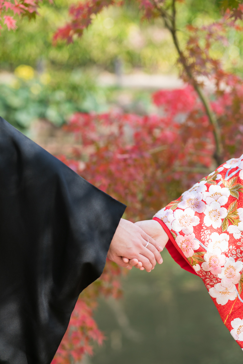 *イメージカット2*