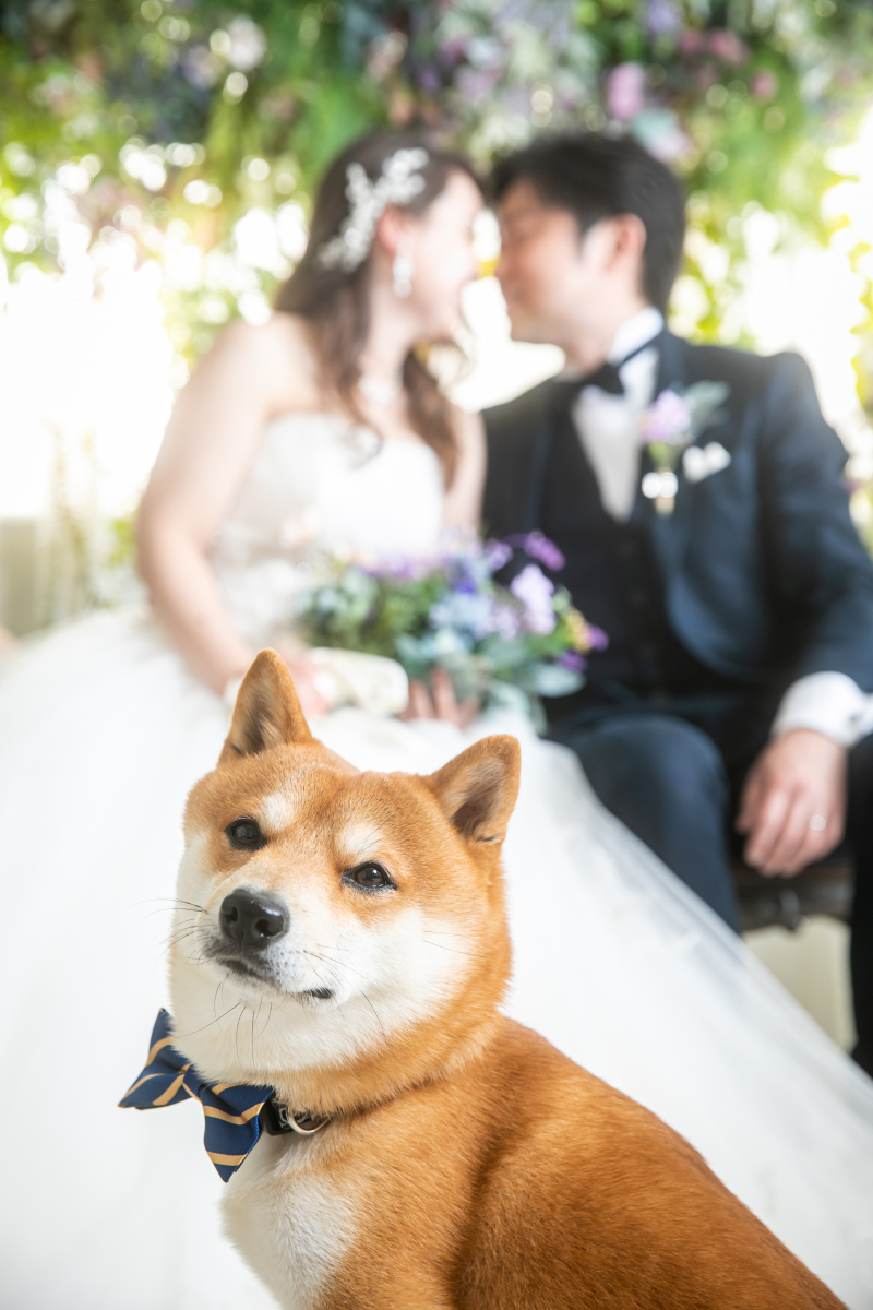 お利口さん＾＾