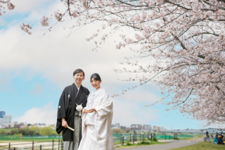 白無垢×桜ロケーションフォト＊多摩川河川敷＊