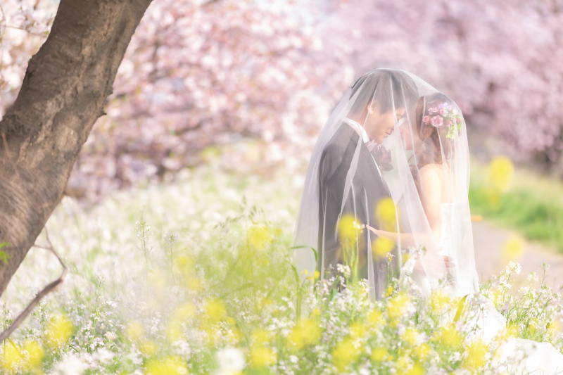 ドレス&タキシードで♡多摩川桜ロケーションフォト*