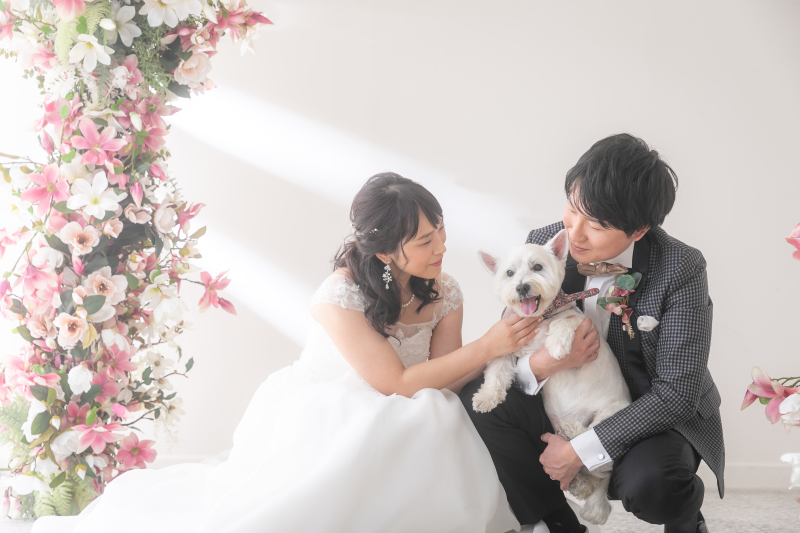 ペットと一緒に♬スタジオプラン