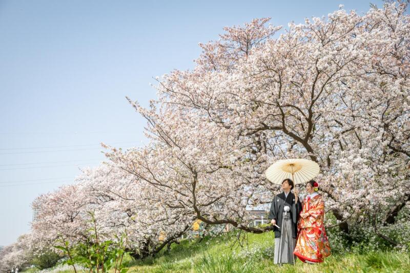 多摩川に咲き誇る桜と一緒に
