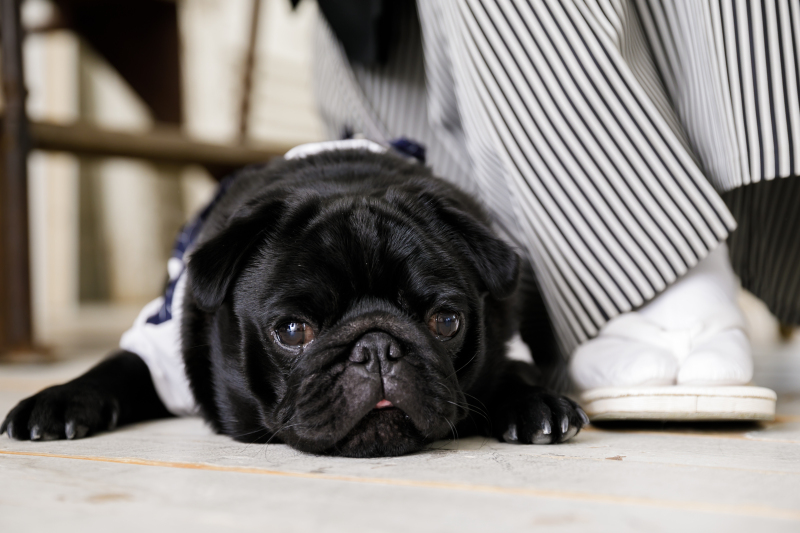 めったにないチャンス!ソロカットもお忘れなく!!