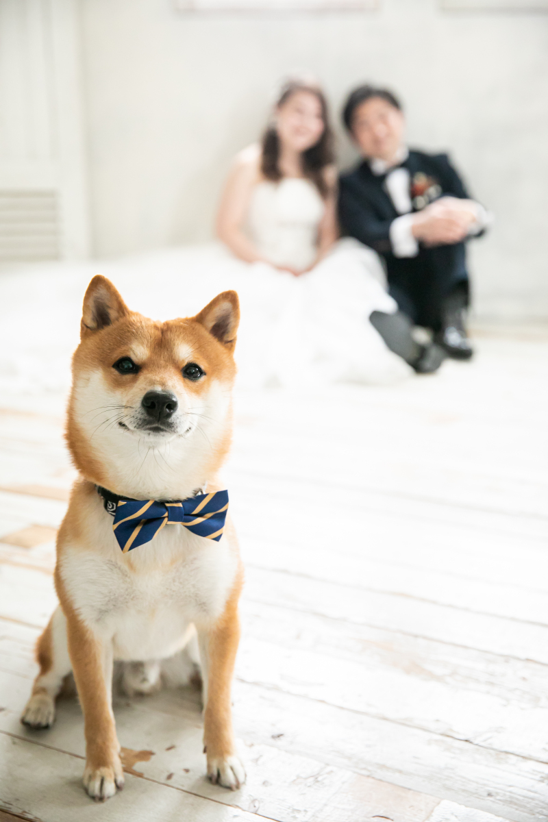 時間をかけてゆったりと!貸切空間で撮影♫