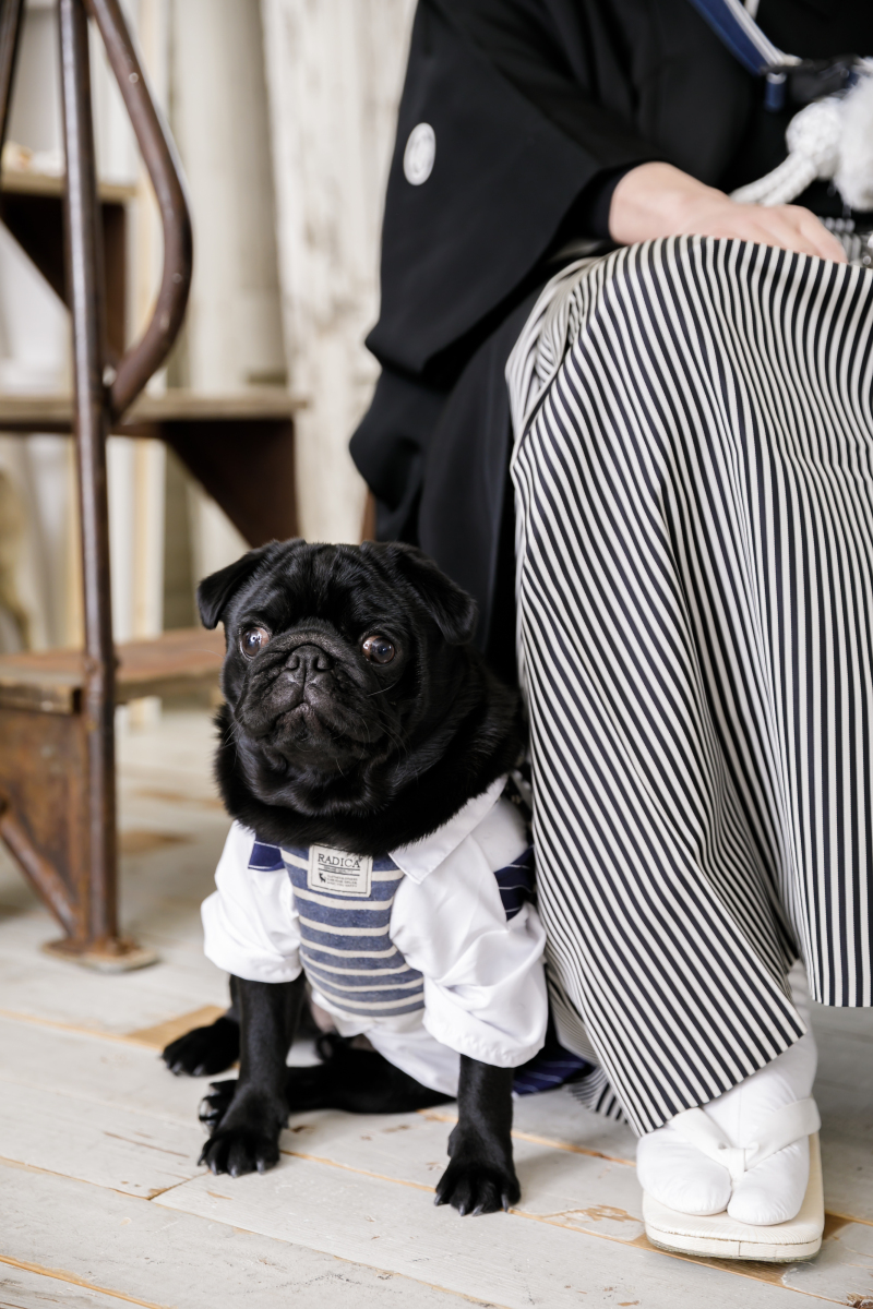 Little Martha 代官山_家族・友人を撮影に呼べる