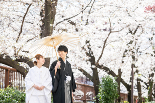 Little Martha 代官山_【桜ロケ】目黒川・多摩川河川敷