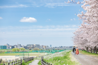 Little Martha 代官山_【桜ロケ】目黒川・多摩川河川敷