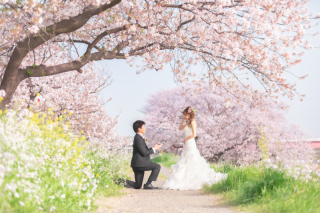 Little Martha 代官山_【桜ロケ】目黒川・多摩川河川敷