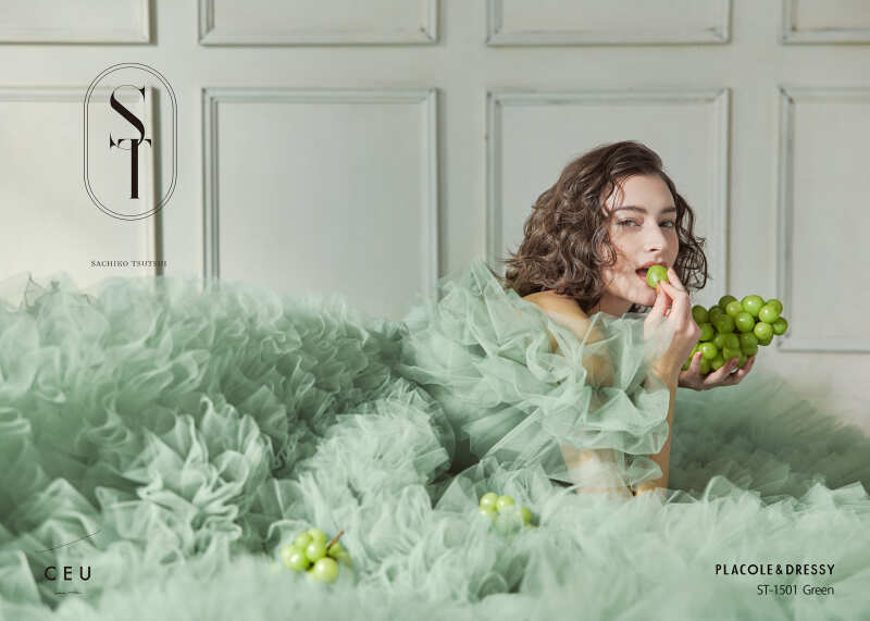 12/27(土)28(日)【新作ブランドドレス撮影会】お好きなドレスを 2着着用&撮影OK! どのドレスを選んでも追加料金なし