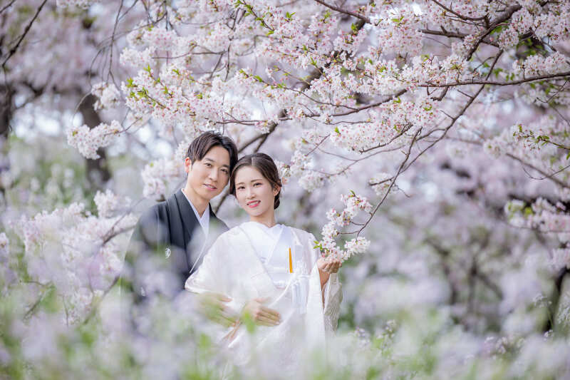 桜フォト✿直前割・前撮りキャンペーンプラン（衣裳アップグレード追加料金なし！）