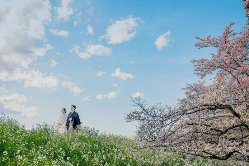 桜フォト✿直前割・前撮りキャンペーンプラン（衣裳アップグレード追加料金なし！）