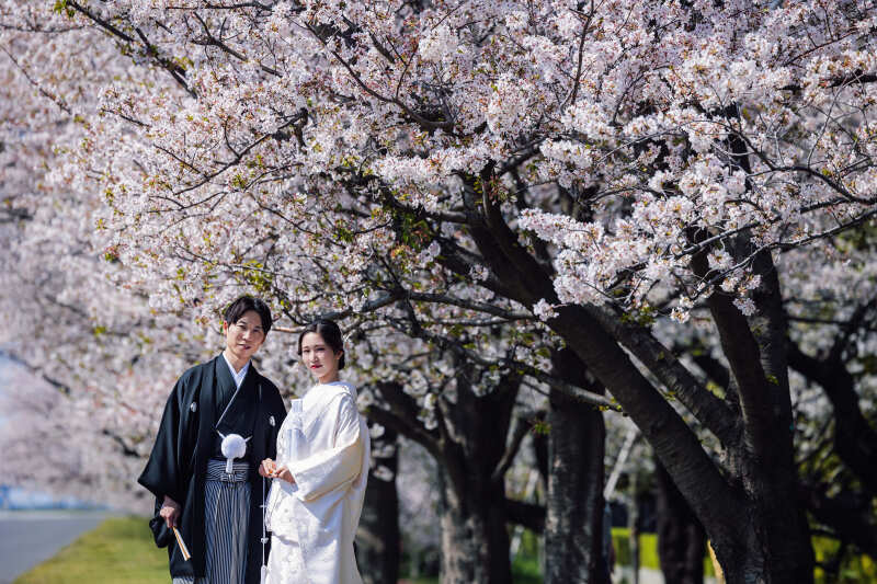 桜フォト✿直前割・前撮りキャンペーンプラン（衣裳アップグレード追加料金なし！）