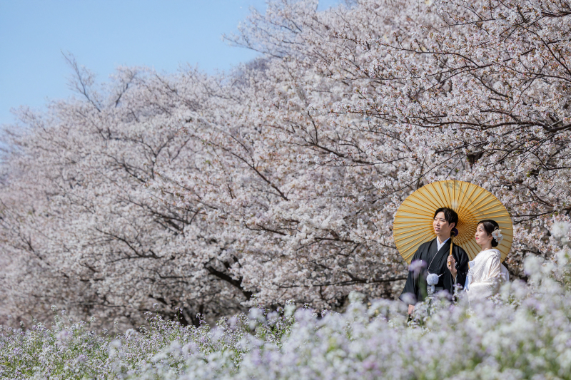 桜フォト✿直前割・前撮りキャンペーンプラン（衣裳アップグレード追加料金なし！）