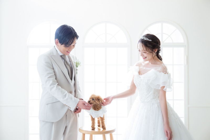 ペットと撮影もOK♡【洋装】スタジオフォトプラン