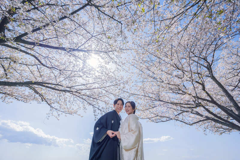 桜フォト✿直前割・前撮りキャンペーンプラン（衣裳アップグレード追加料金なし！）