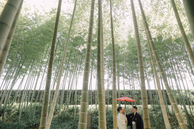 花田苑内の竹林