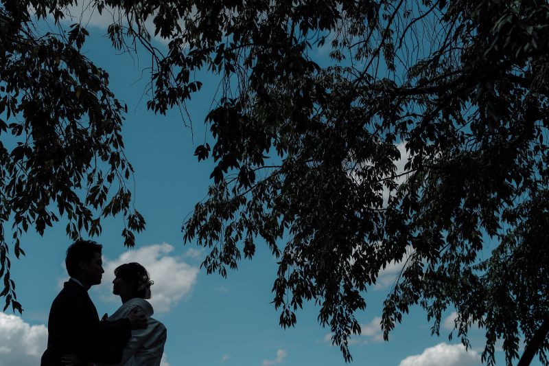 シルエットのお写真